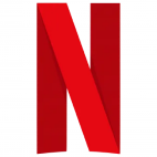 Netflix subscription (One year)